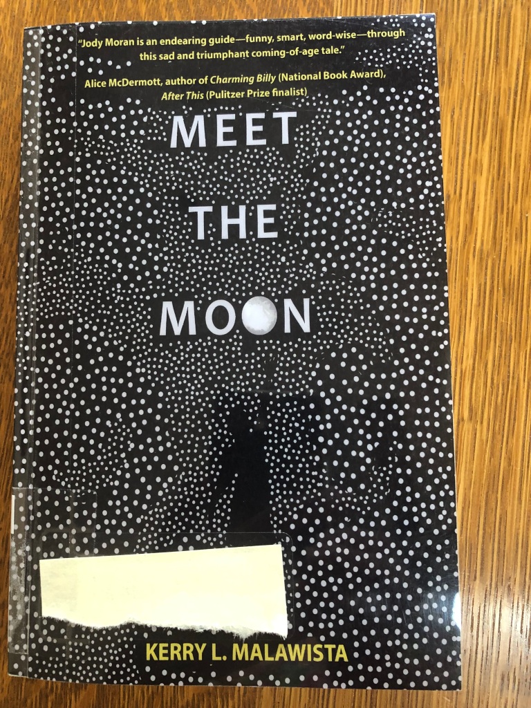 The cover of Meet the Moon, which shows the shadow of a girl reaching up toward the mon in a star-filled sky. 